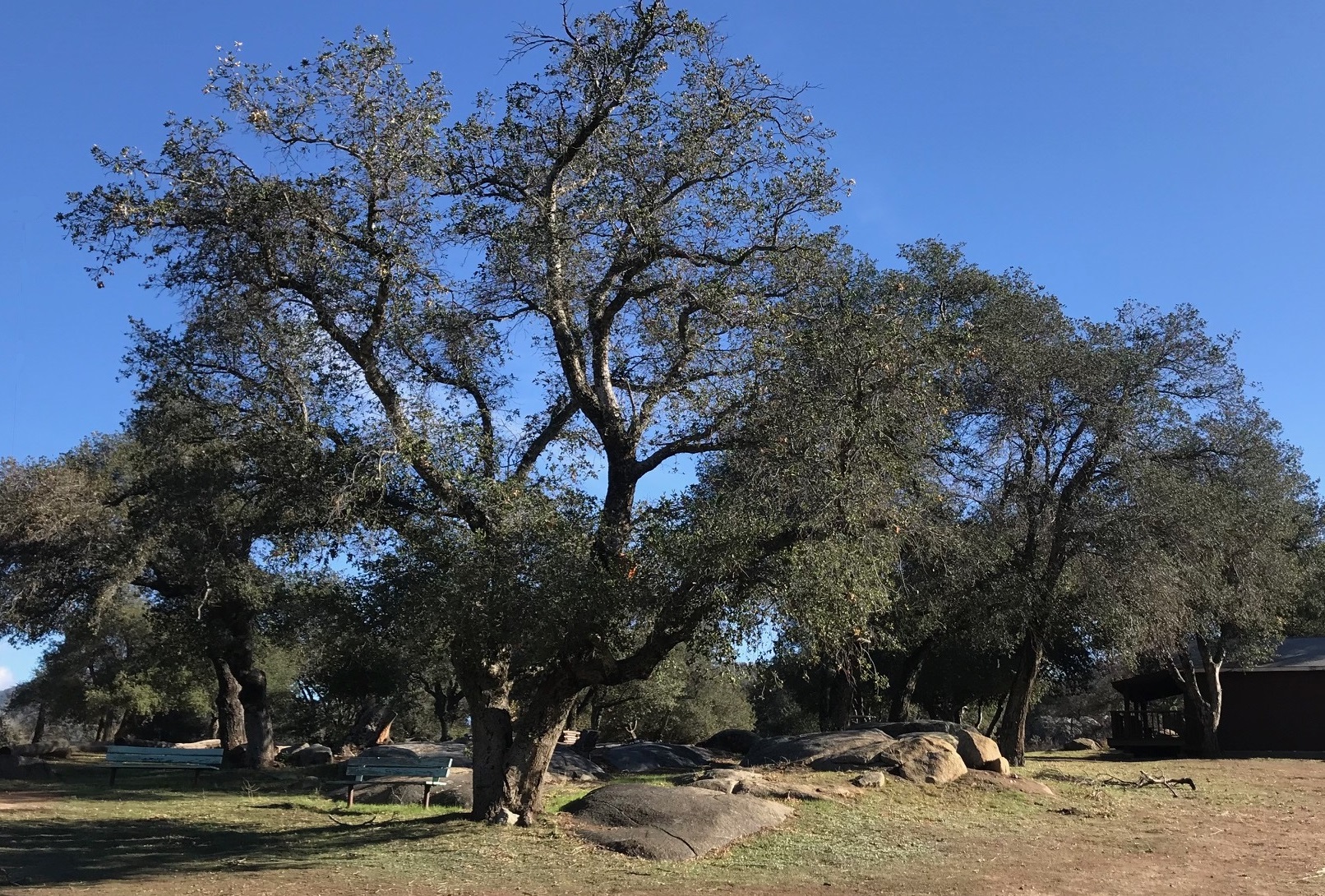 Julian landscape